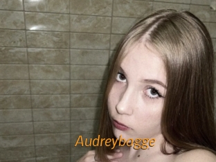 Audreybagge