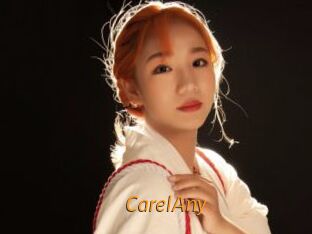 CarelAny