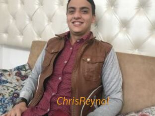 ChrisReynol Porn University