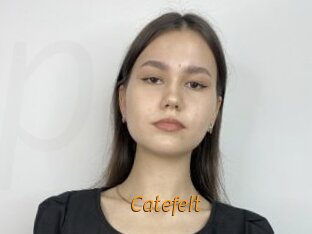 Catefelt