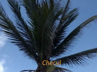 Chacul