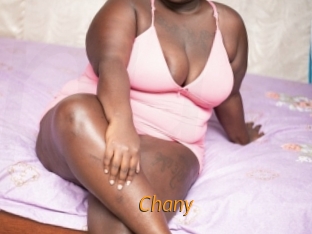 Chany