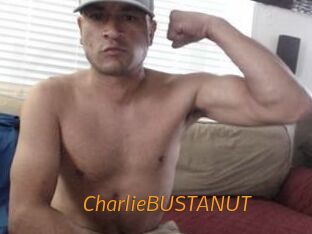 CharlieBUSTANUT