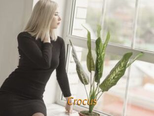 Crocus