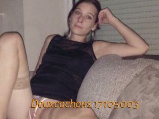 Deuxcochons
