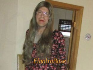 Elantra_Rose