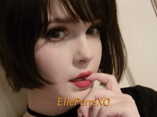 EllePurrsXO