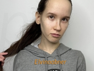 Elvinaabner