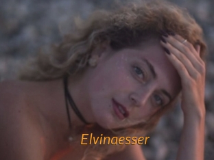 Elvinaesser