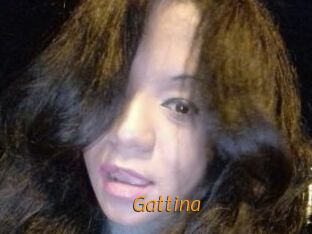 Gattina