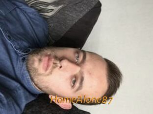 HomeAlone87