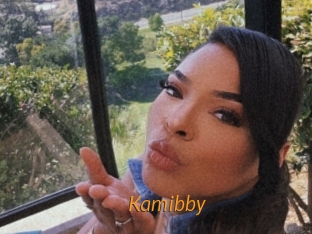 Kamibby
