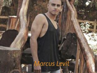 Marcus_Levit
