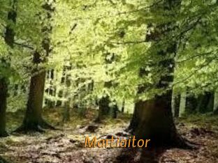 Martiaitor