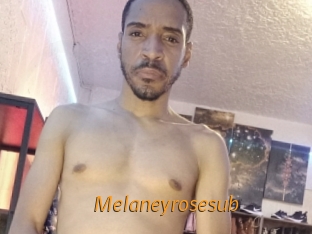 Melaneyrosesub