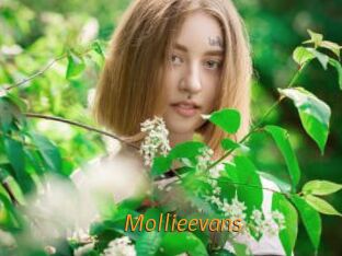 Mollieevans