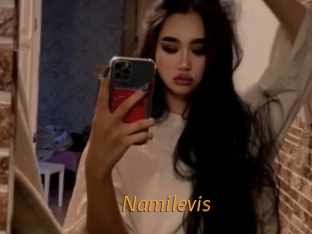 Namilevis