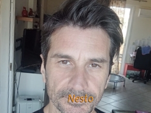 nesto Porn University