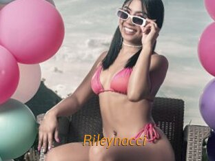 Rileynacci