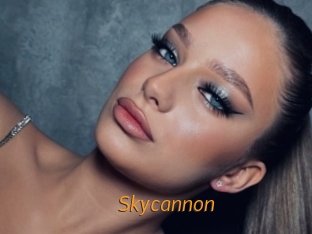 Skycannon