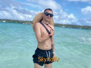Skyhalle