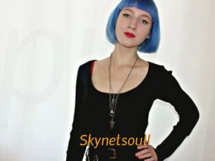 Skynetsoull