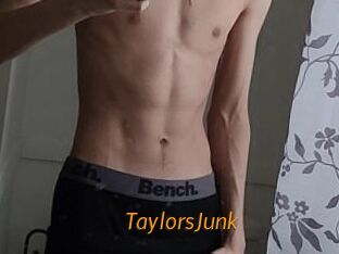 TaylorsJunk