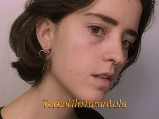 TerentilaTarantula