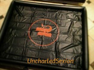 UnchartedSexion