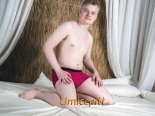 Urnicepitt
