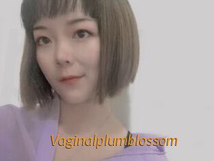 Vaginalplumblossom