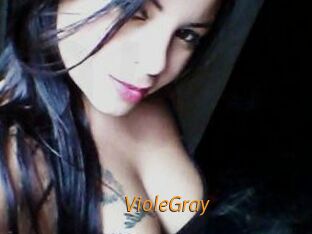 VioleGray