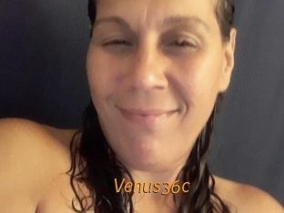 Venus36c