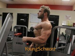 YoungSchwarz